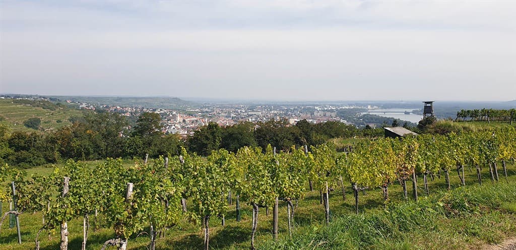 Zájazd do Rakúska: Melk, Krems a Tulln