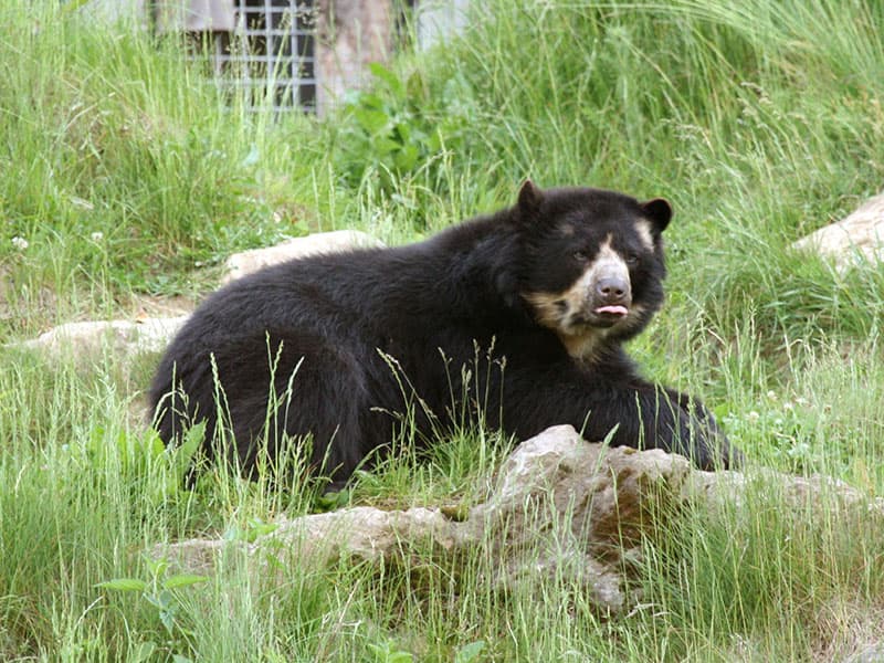 Deň na zámku Herberstein s návštevou ZOO