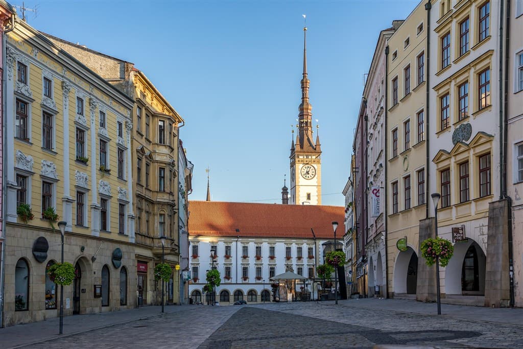 Levanduľový festival na Morave a mesto fontán Olomouc