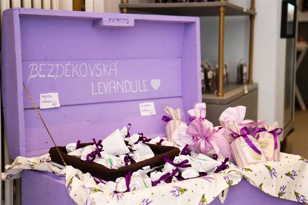 Levanduľový festival na Morave a mesto fontán Olomouc