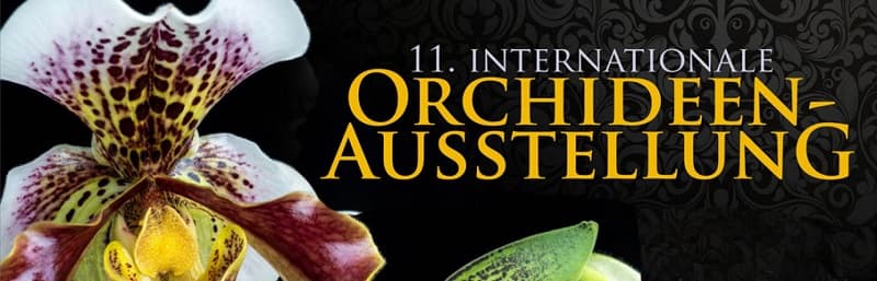 Výstava orchideí Klosterneuburg a kláštor augustiánov
