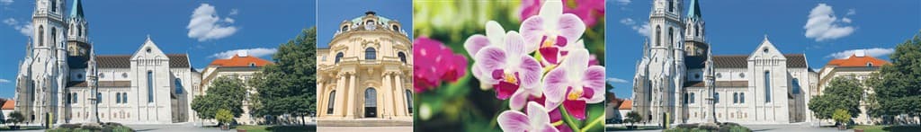 Výstava orchideí Klosterneuburg a kláštor augustiánov