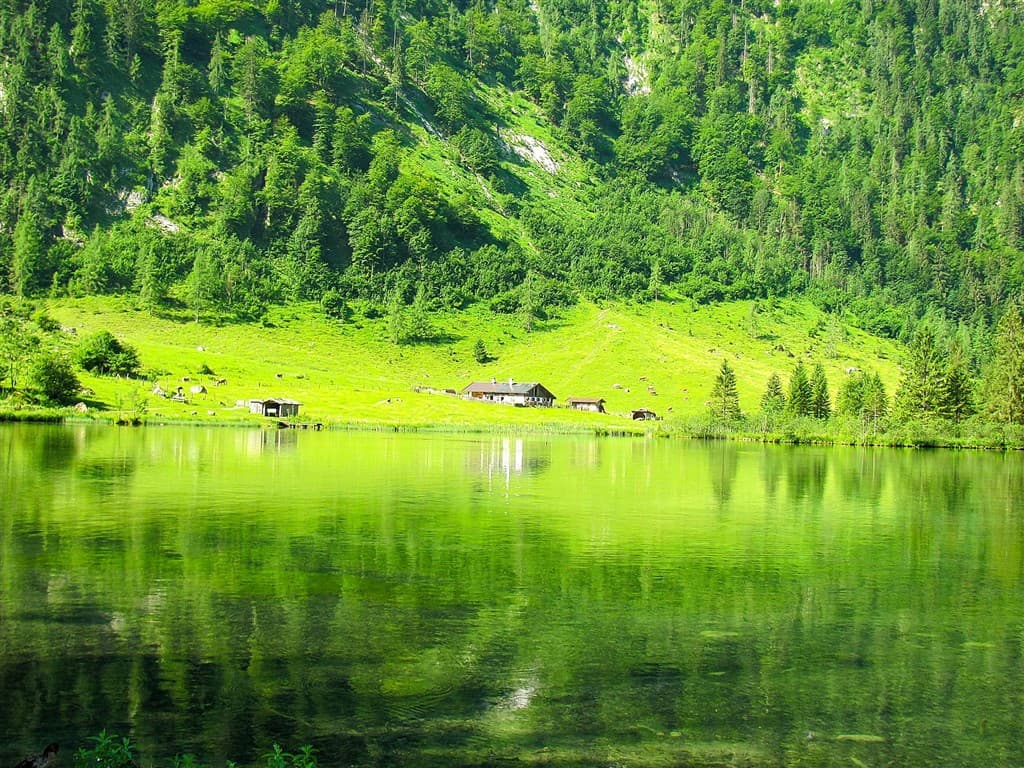 Rakúske a bavorské Alpy – Salzburg, Hallstatt a Königssee