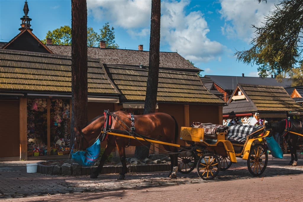 1-dňový zájazd do mestečka Zakopane