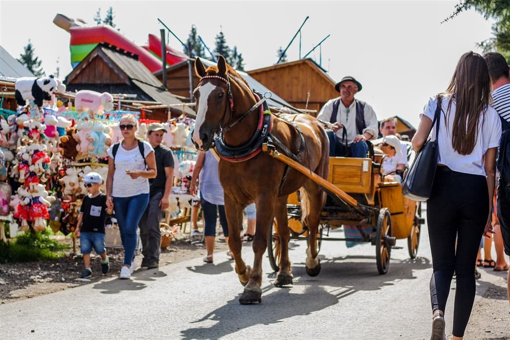 1-dňový zájazd do mestečka Zakopane