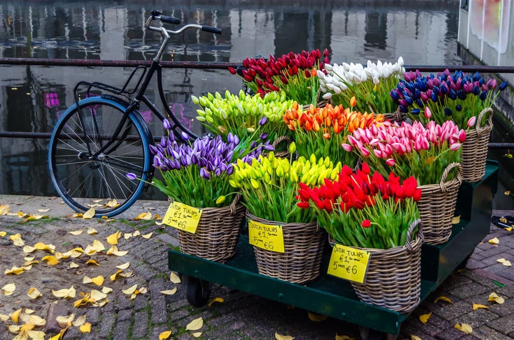 4-dňový letecký zájazd do Amsterdamu