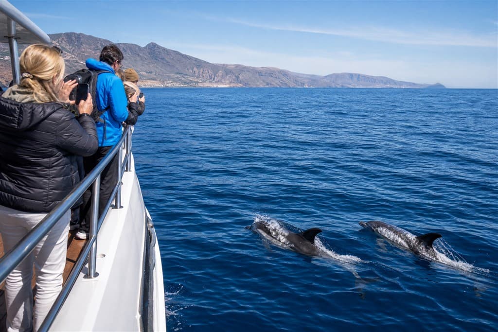 Tenerife – ostrov sopiek a oceánu