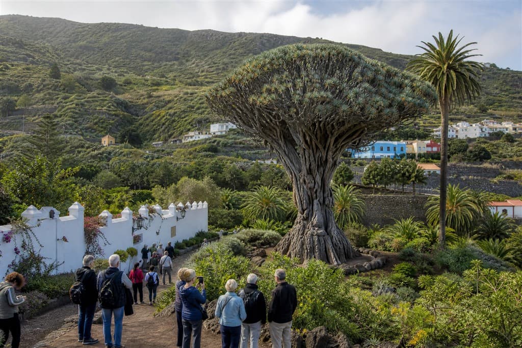 Tenerife – ostrov sopiek a oceánu