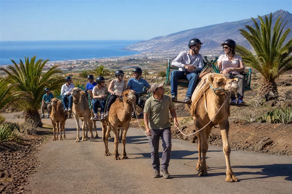 Tenerife – ostrov sopiek a oceánu