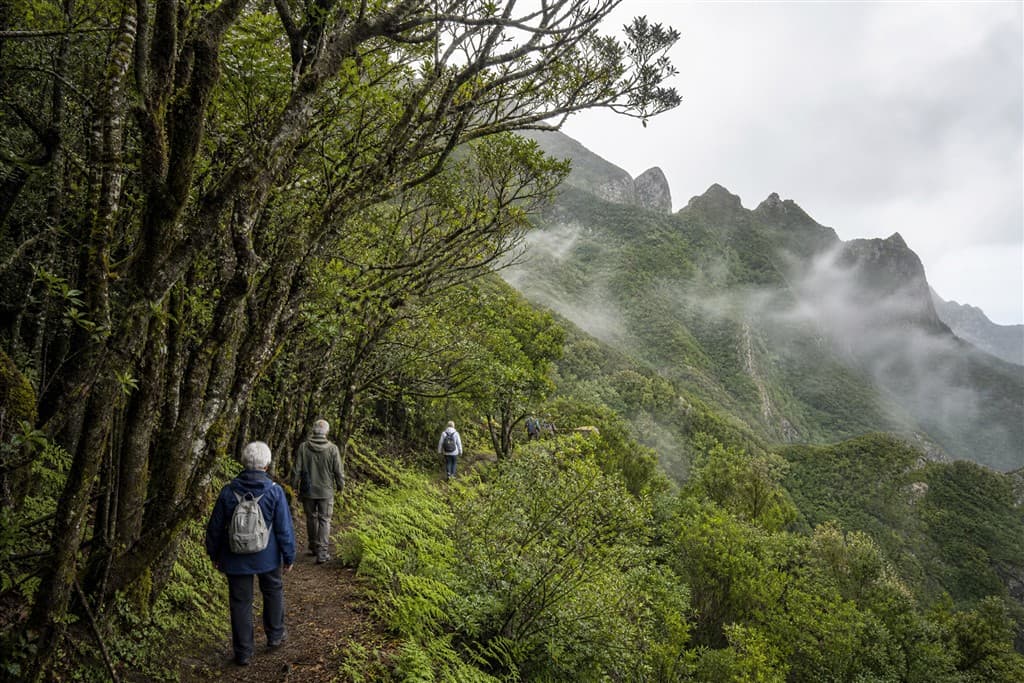 Tenerife – ostrov sopiek a oceánu