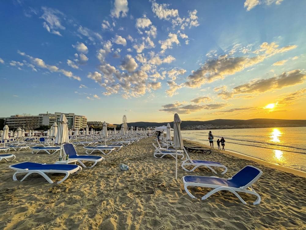 Flamingo Beach