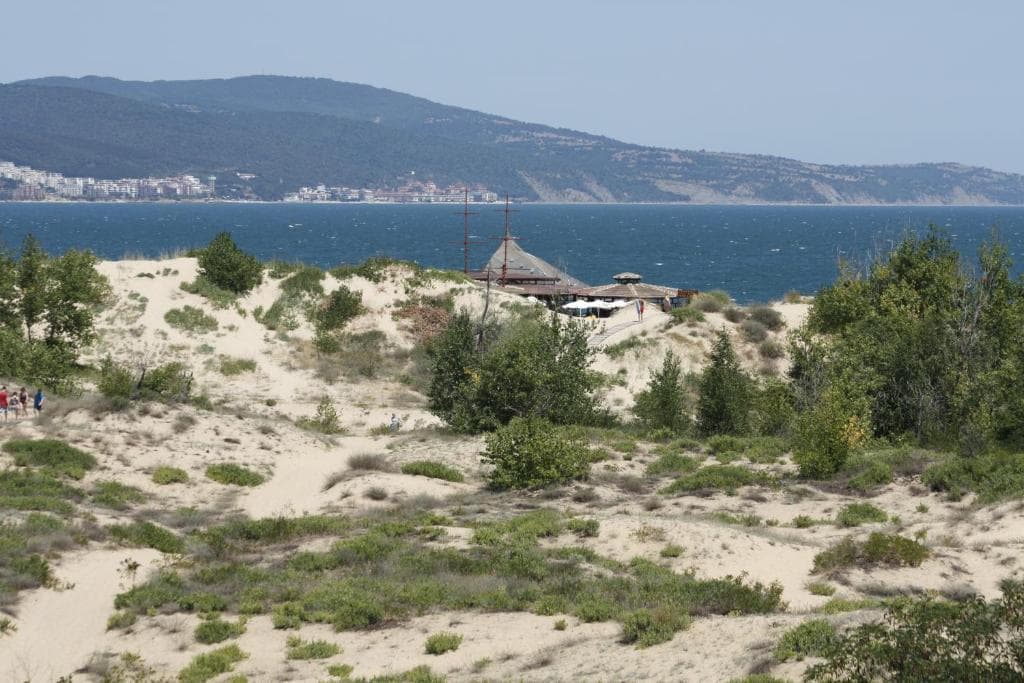 Golden Dune