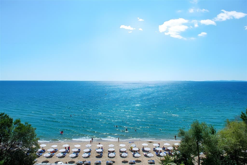 Tiva del Mar