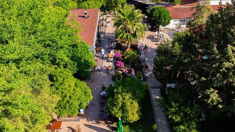 DG Hotels Rose Resort