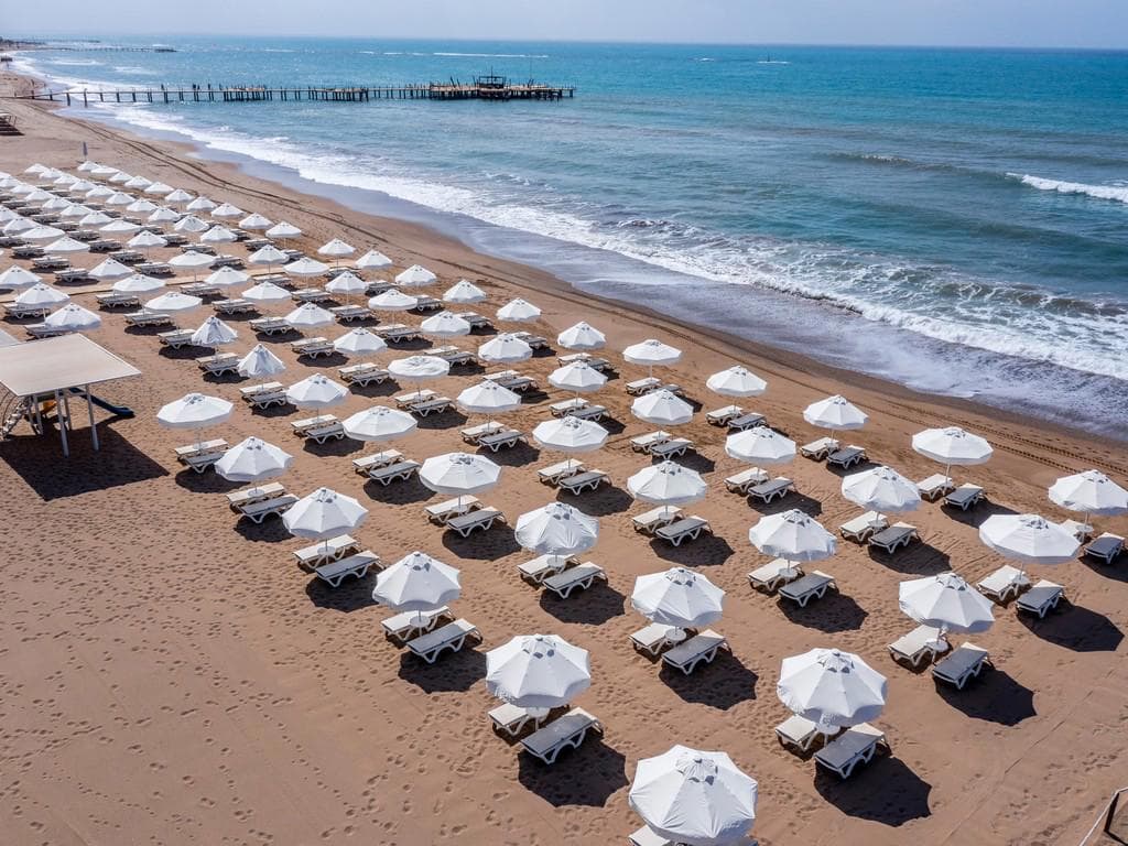 Barut Goia
