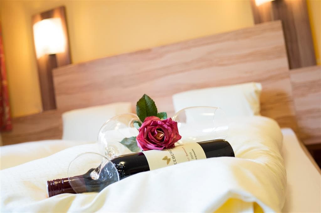 Hotel Schladmingerhof - zájazd  - Rakúsko zima - Schladming