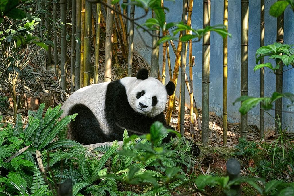 Peking – Srdce starovekej i modernej Číny