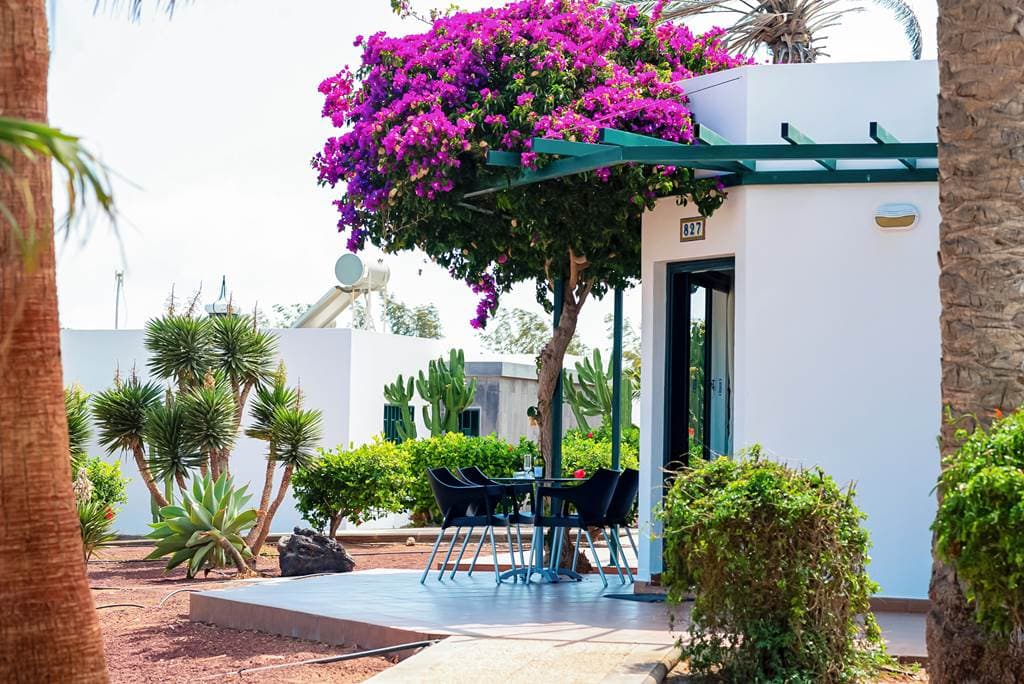 HL Club Playa Blanca - bungalov - letecký zájazd  - Lanzarote, Playa Blanca