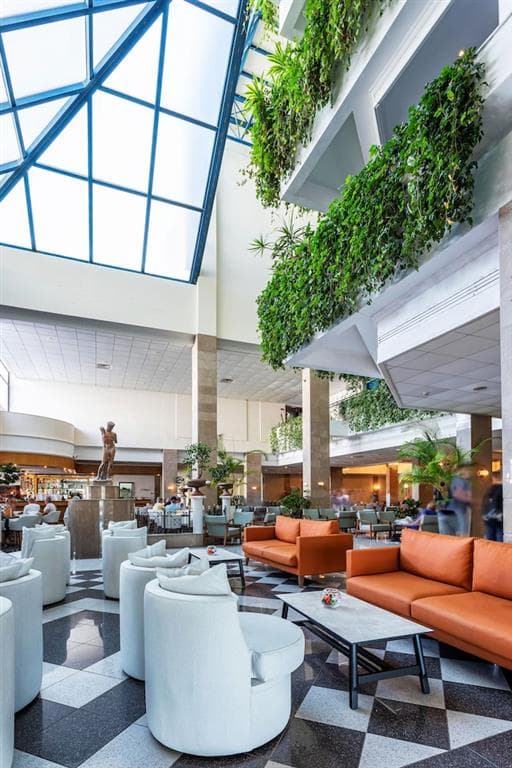 Louis Phaeton Beach - lobby - letecký zájazd  - Cyprus, Paphos