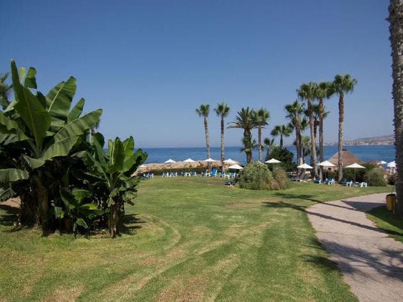 Cynthiana Beach Hotel - záhrada - letecký zájazd  - Cyprus, Paphos
