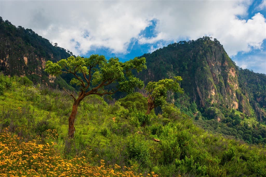 Divoká príroda pohoria Sierra Madre del Sur