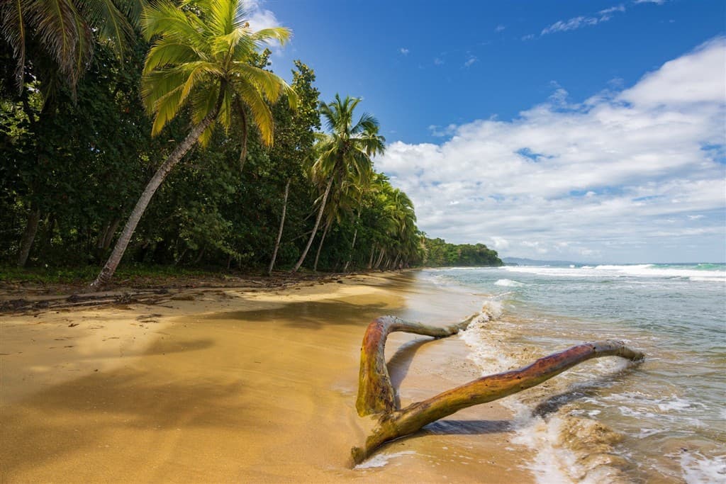 Punta Uva