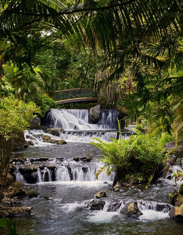 Pramene Tabacon, La Fortuna