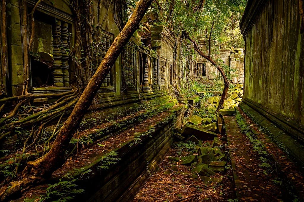 Chrám Ta Prohm v objatí prírody