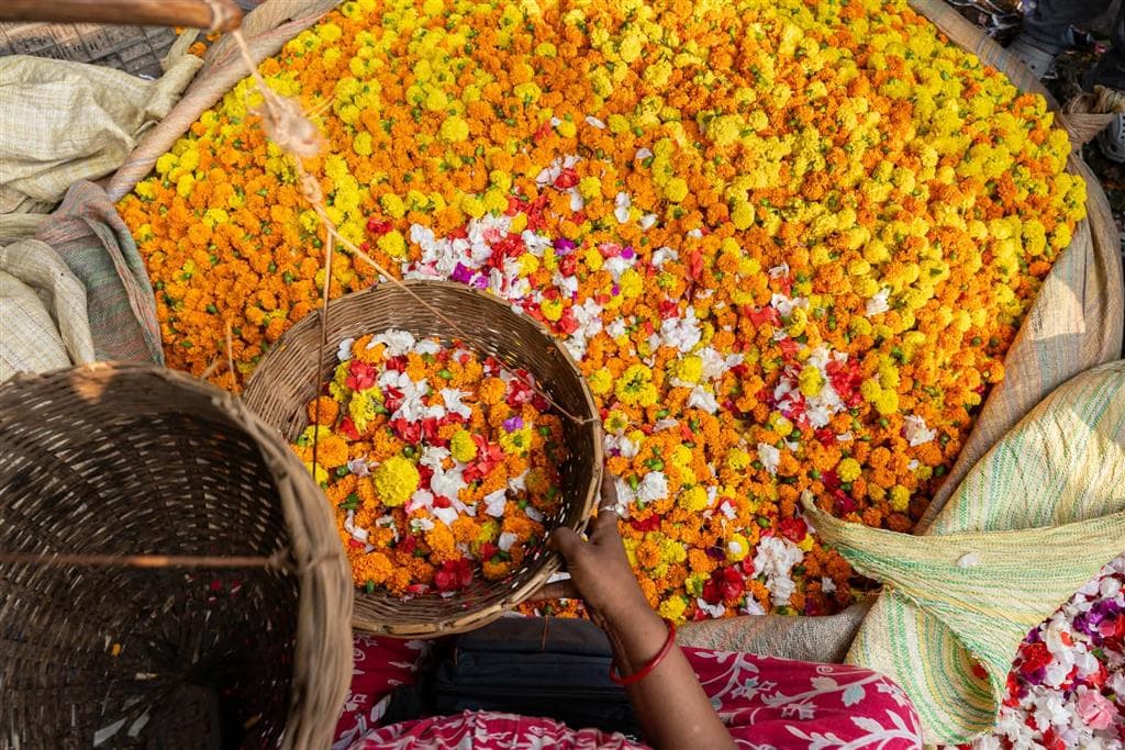 Mallick Ghat Flower Market pod ikonickým mostom Howrah je jeden z najväčších kvetinových trhov v Ázii
