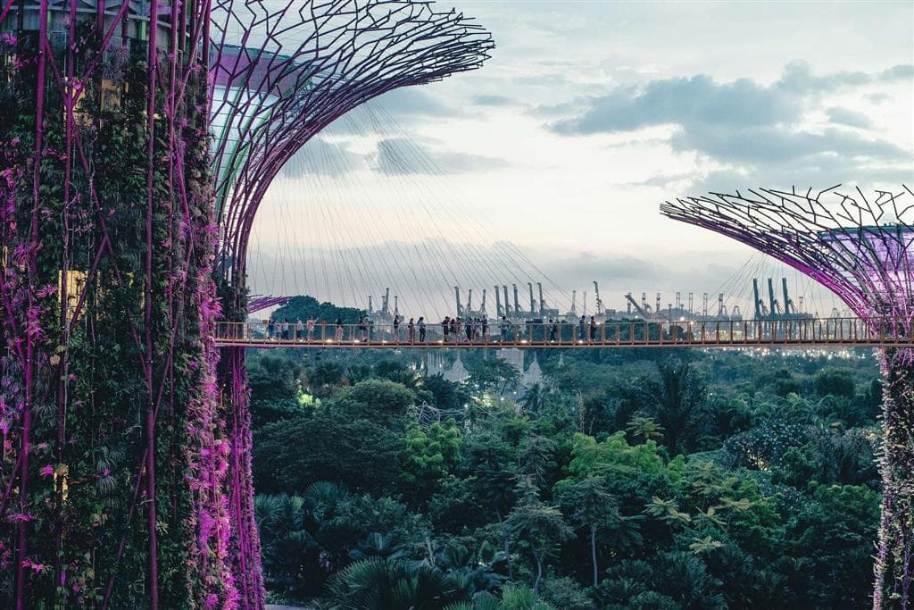 Gardens by the Bay nám ukazujú, ako môže mestská zeleň plniť ekologickú aj estetickú funkciu zároveň