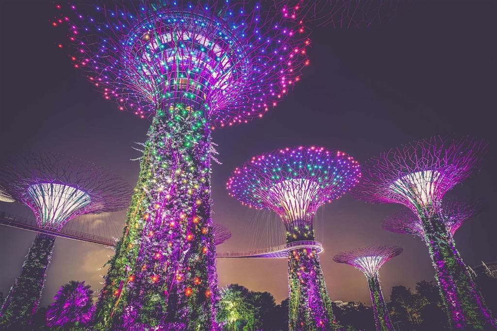 Vysvietené „superstromy“ v Gardens by the Bay v Singapore fungujú ako vertikálne záhrady s integrovaným osvetlením