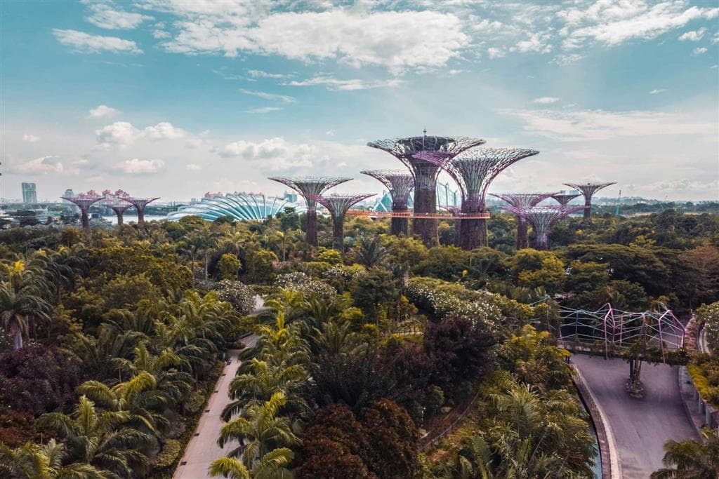 Superstromy a v pozadí Flower Dome a Cloud Forest, jeden slúži ako botanická záhrada a druhý ukrýva vnútorný vodopád