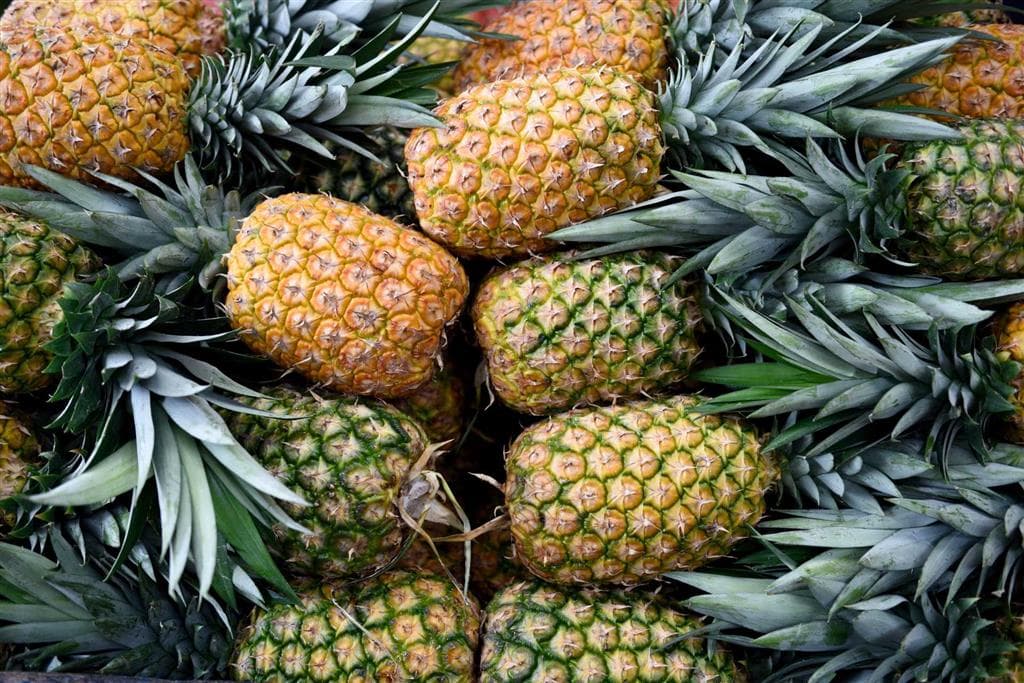 Kostarika patrí medzi najväčších svetových producentov ananásu