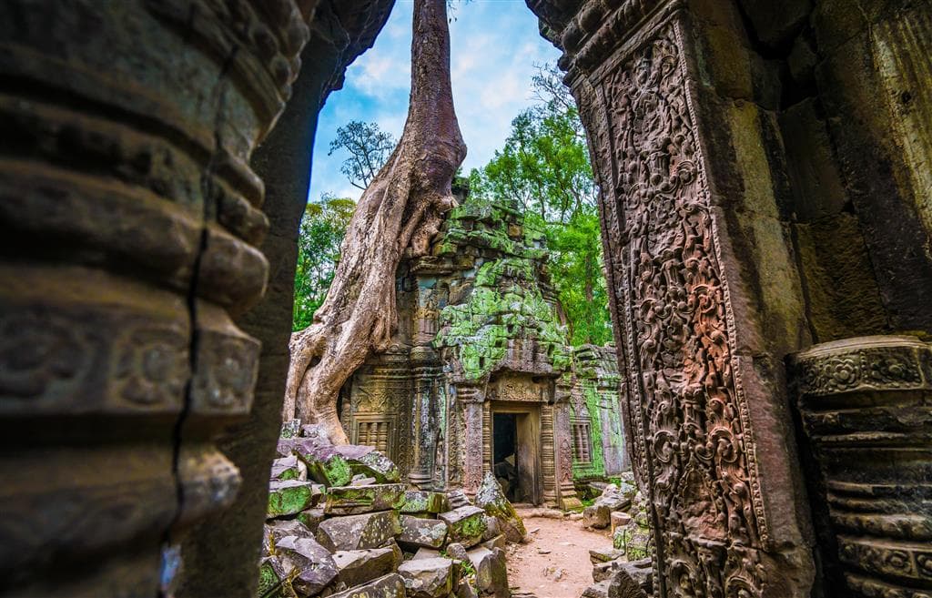 Korene stromov prerastajúce ruiny chrámu Ta Prohm v lokalite Angkor v Kambodži