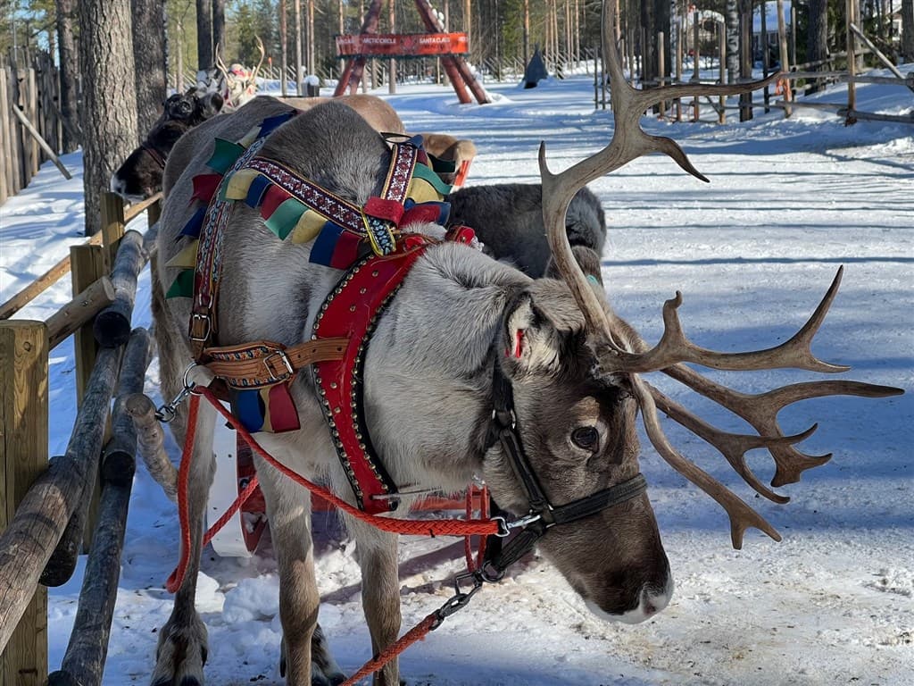 Santa Claus - Poznávací zájazd