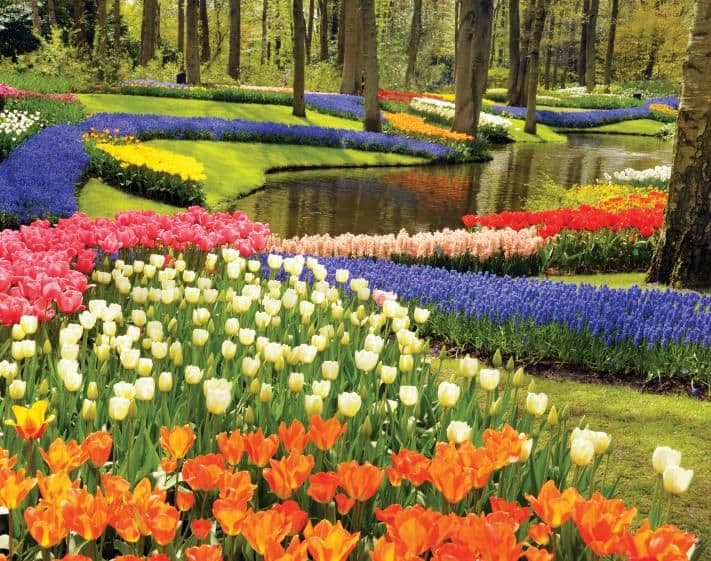 , autobusový poznávací zájazd, Kvetinové Holandsko a Belgicko, Keukenhof, tulipány