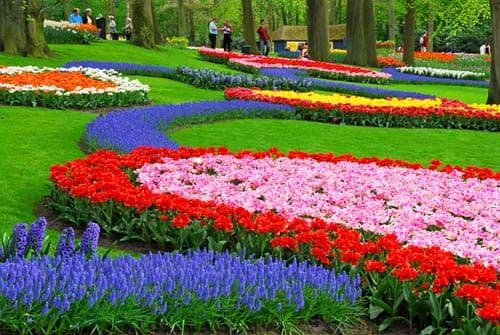 , autobusový poznávací zájazd, Kvetinové Holandsko a Belgicko, Keukenhof, tulipány