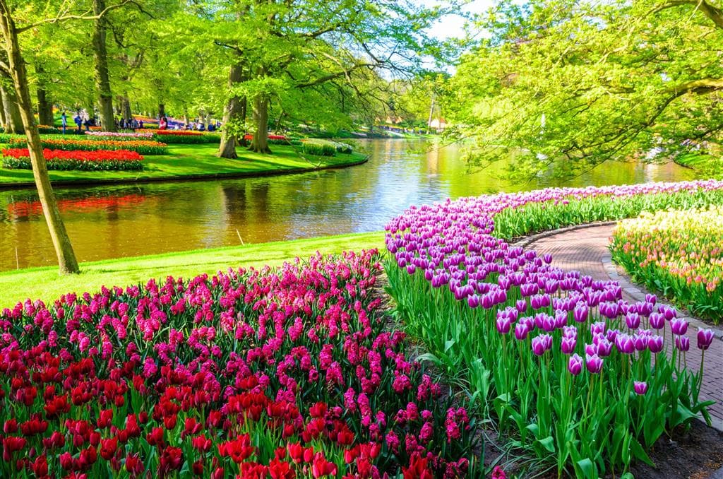 , autobusový poznávací zájazd, Kvetinové Holandsko a Belgicko, Keukenhof, kvetinové záhony