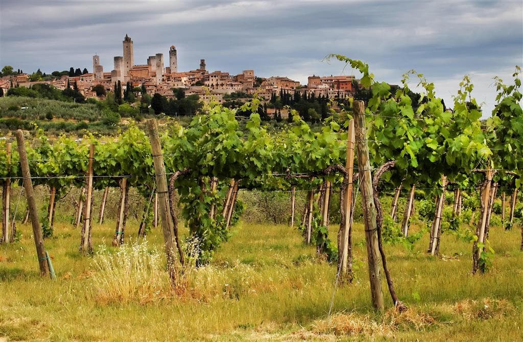 , autobusový poznávací zájazd, Vínna cesta po Toskánsku, San Gimignano, vinice