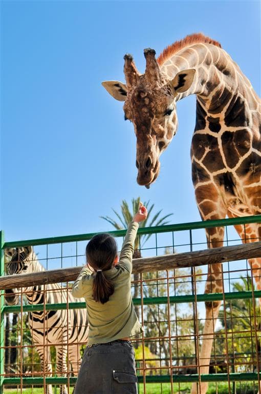 , autobusový poznávací zájazd, Legoland a ZOO Hellabrunn, zoologická záhrada
