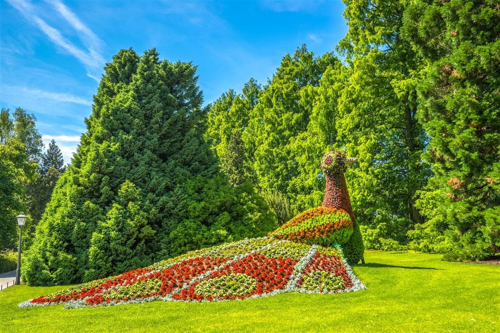 , autobusový poznávací zájazd, Alpský okruh a Bodamské jazero, Mainau