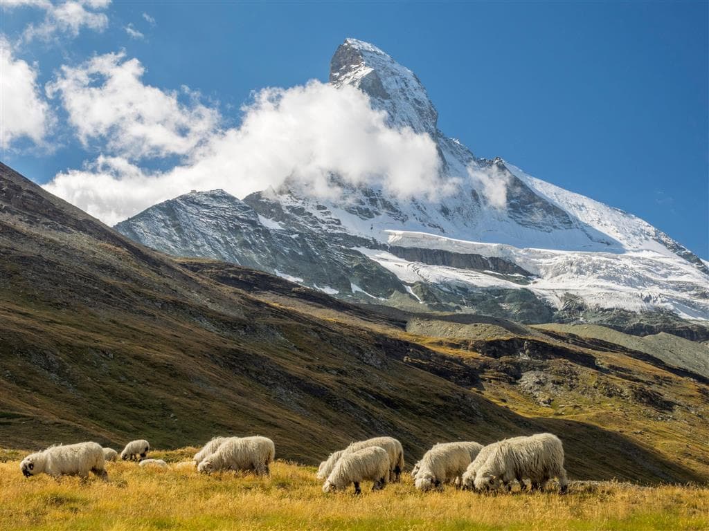 , autobusový poznávací zájazd, Švajčiarsky okruh, Klein Matterhorn