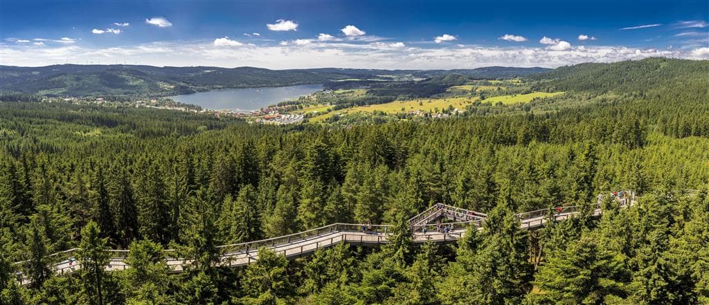 , autobusový poznávací zájazd, Česko a Rakúsko, Lipno nad Vltavou, Cesta v korunách stromov