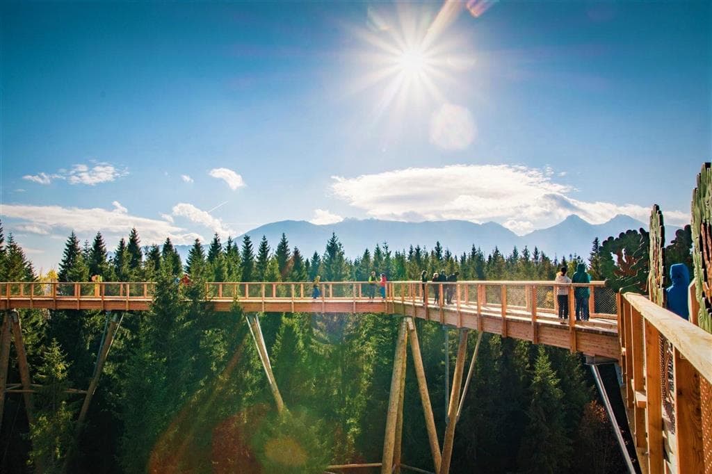 , Autobusový poznávací zájazd, Vysoké Tatry a severný Spiš, Bachledova dolina, chodník korunami stromov