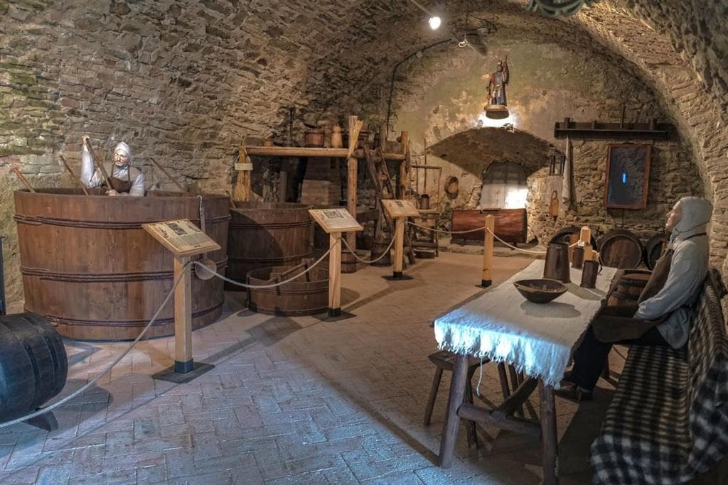 , Autobusový poznávací zájazd, Vysoké Tatry a severný Spiš, Ľubovniansky hrad