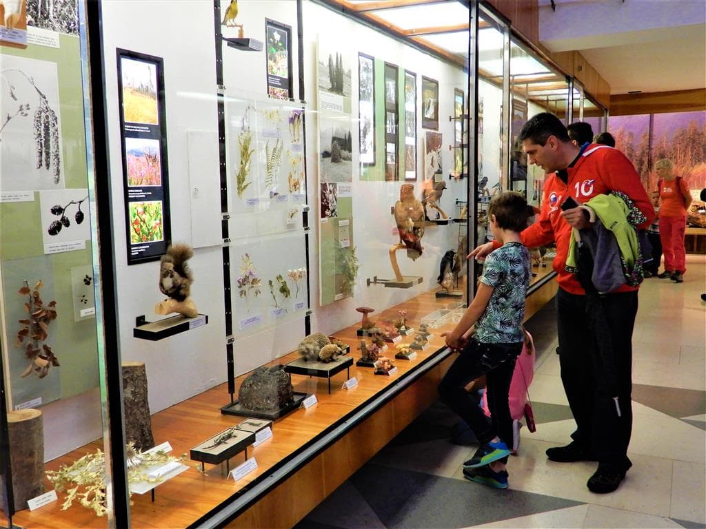 , Autobusový poznávací zájazd, Vysoké Tatry a severný Spiš, expozícia tatranskej prírody