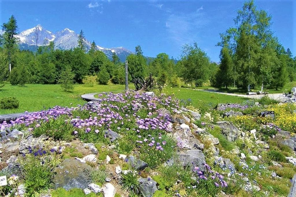 , Autobusový poznávací zájazd, Vysoké Tatry a severný Spiš, expozícia tatranskej prírody
