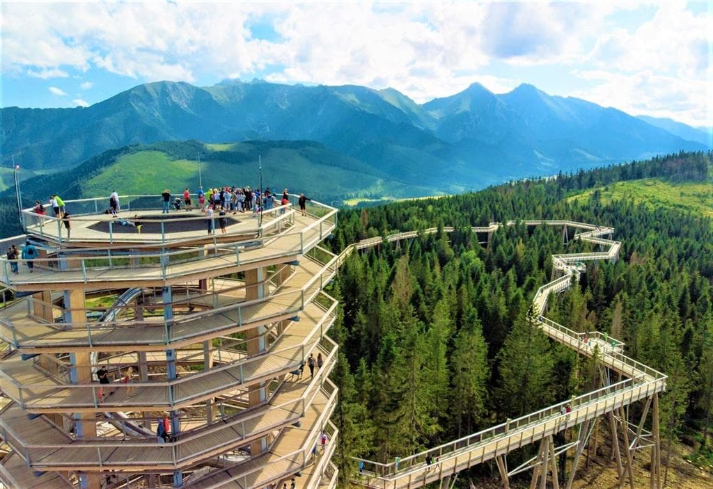 , Autobusový poznávací zájazd, Vysoké Tatry a severný Spiš, Bachledova dolina, chodník korunami stromov