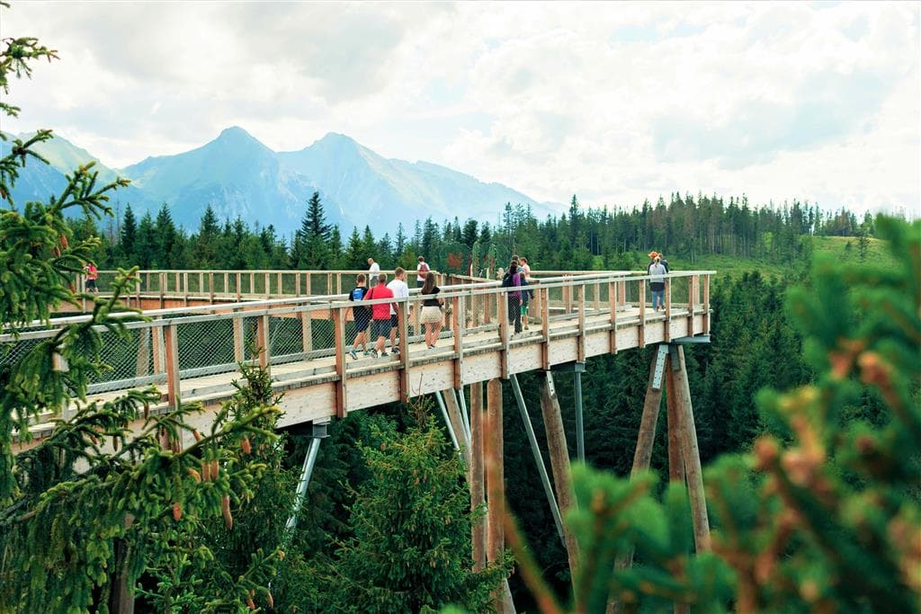 , Autobusový poznávací zájazd, Vysoké Tatry a severný Spiš, Bachledova dolina, chodník korunami stromov