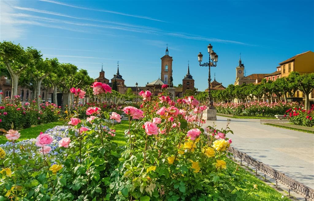 , Letecký poznávací zájazd, Španielsko poklady UNESCO, Alcalá de Henares